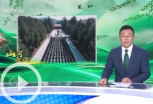 《焦點(diǎn)訪談》 20250405 山河作證 白山黑水鑄忠魂