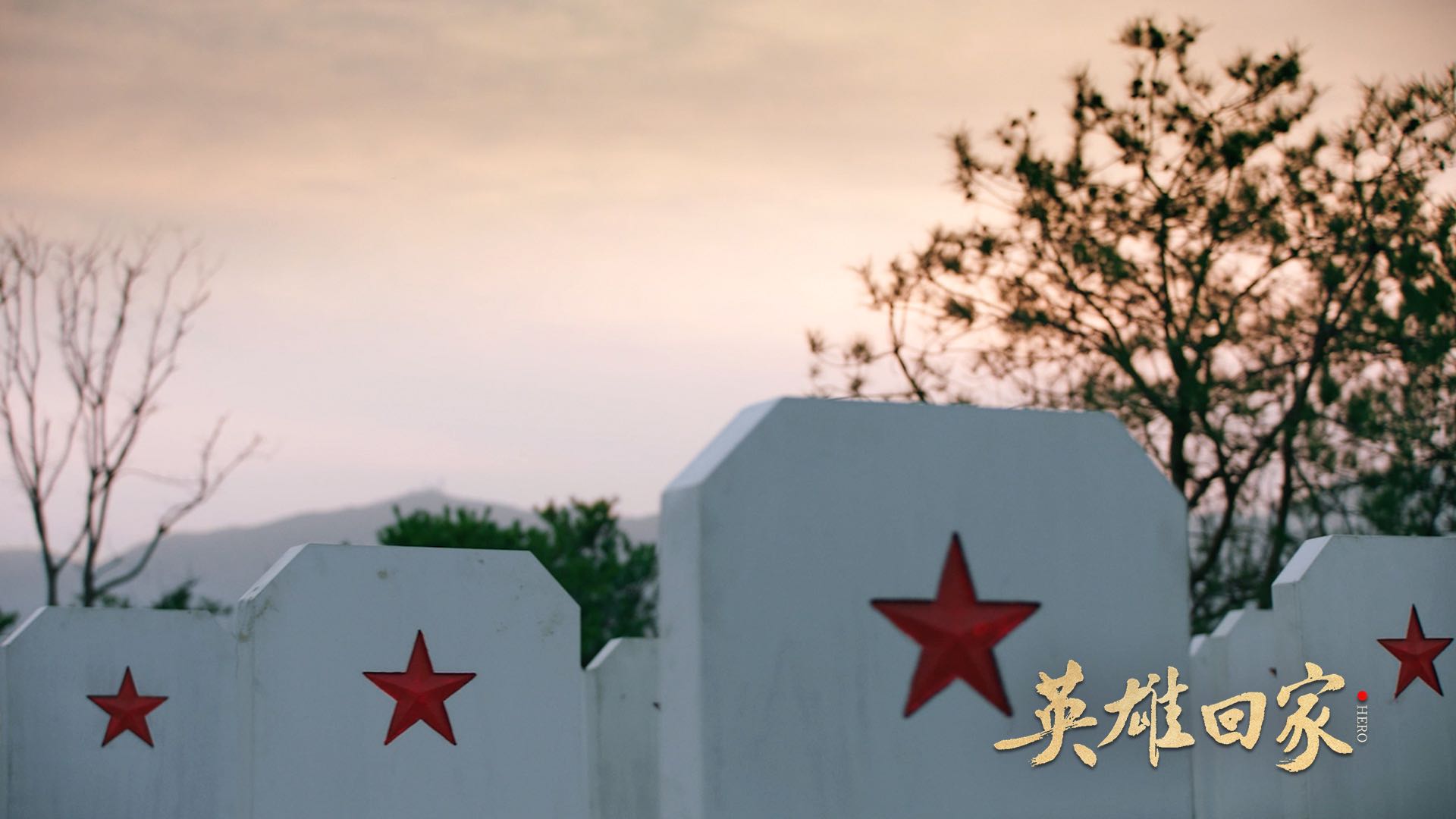 WechatIMG1073.jpeg WechatIMG1073.jpeg