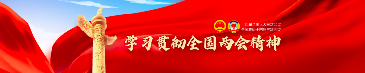 學(xué)習(xí)貫徹2025全國(guó)兩會(huì)精神